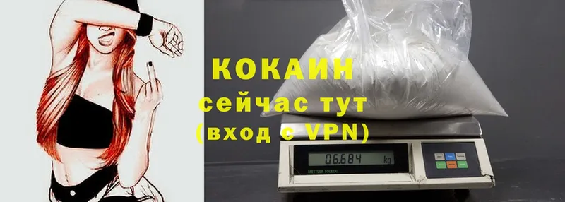 что такое наркотик  Новосибирск  Cocaine Fish Scale 